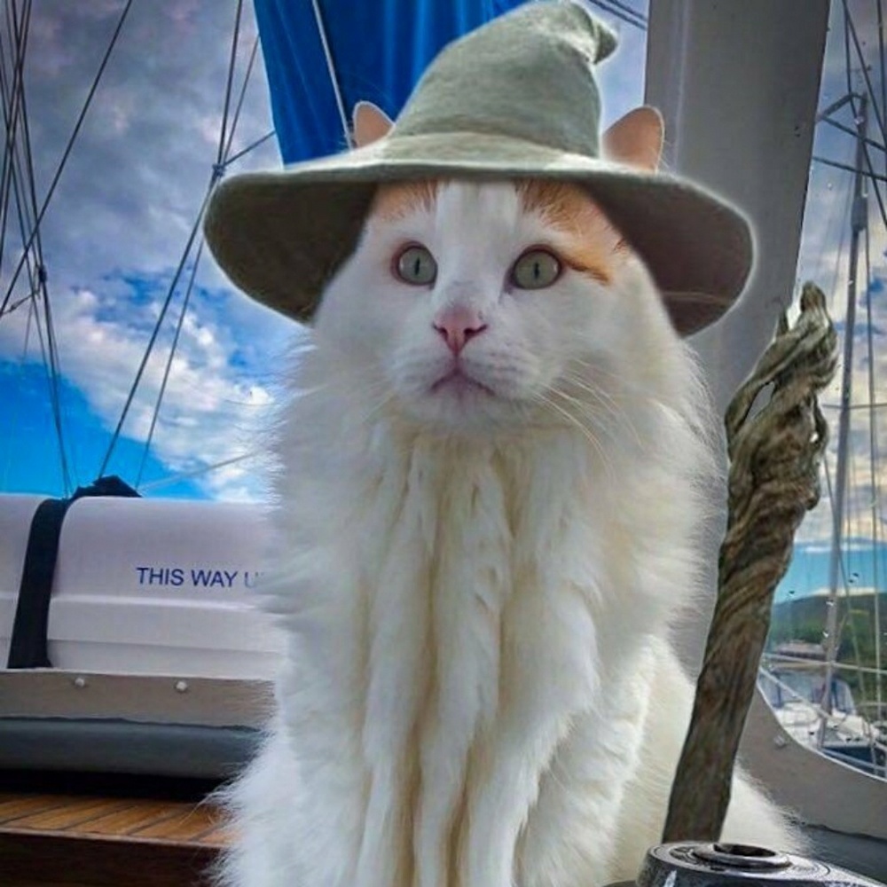 Meet your Posher, Liz